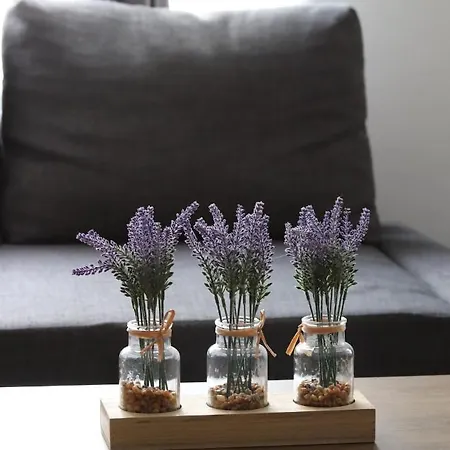 Levendula Apartament *